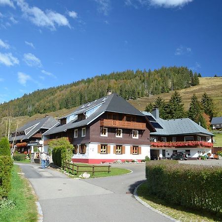 Ferienwohnungen Sternenthal Menzenschwand Ngoại thất bức ảnh