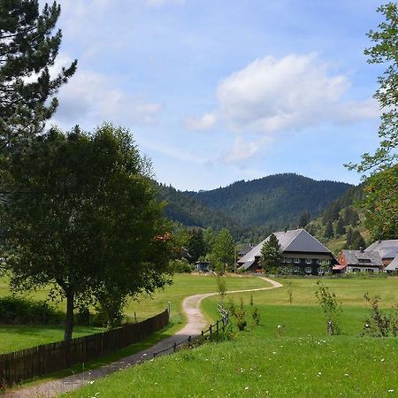 Ferienwohnungen Sternenthal Menzenschwand Ngoại thất bức ảnh