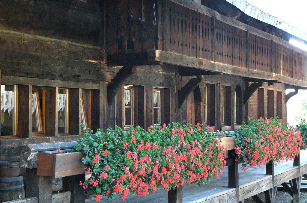 Ferienwohnungen Sternenthal Menzenschwand Ngoại thất bức ảnh