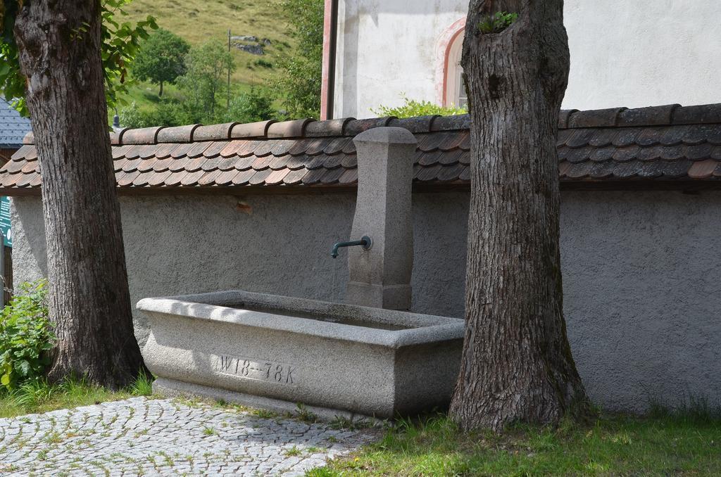 Ferienwohnungen Sternenthal Menzenschwand Ngoại thất bức ảnh