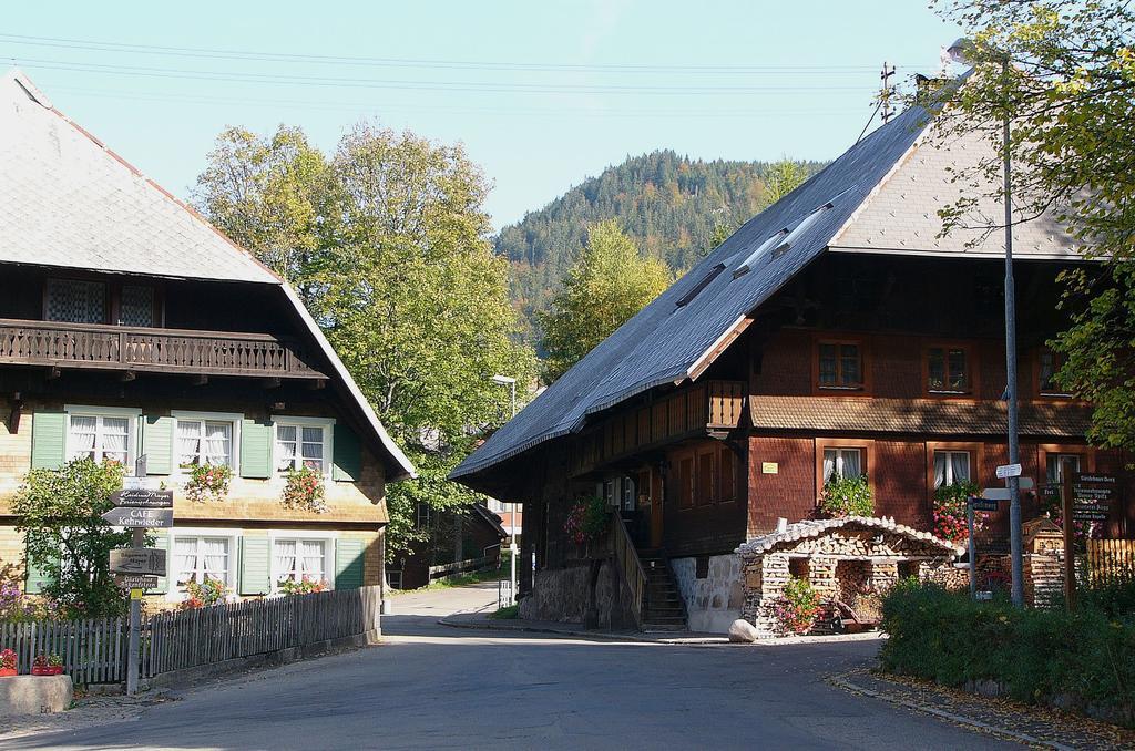 Ferienwohnungen Sternenthal Menzenschwand Ngoại thất bức ảnh