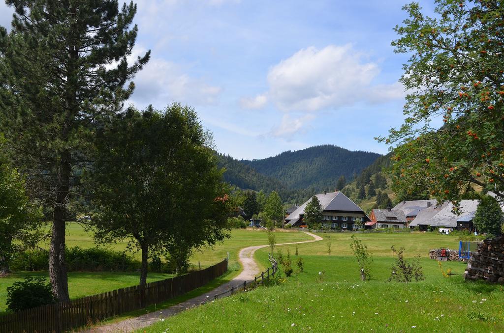 Ferienwohnungen Sternenthal Menzenschwand Ngoại thất bức ảnh